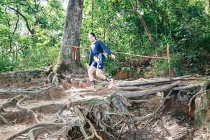 BIB: 
                            <button type="button" onclick="openModal(27721614)" class="btn btn-primary btn-sm float-right btn-popup" data-toggle="modal" data-target=".modal-high-quality">
                        <i class="fas fa-shopping-cart"></i> Add to Cart
                    </button>
                                            <button type="button" onclick="isThisMe(27721614, true)" class="btn btn-success btn-sm float-right btn-popup btn-isme hidden" data-toggle="tooltip" data-placement="bottom" title="นี่คือรูปของคุณใช่ไหม คลิกที่นี่เพื่อเอาเข้าอัลบั้ม">
                        <i class="fas fa-plus"></i> Add to album
                    </button>
                    <button type="button" onclick="isThisMe(27721614, false)" class="btn btn-warning btn-sm float-right btn-popup btn-isnotme hidden">
                        <i class="fas fa-ban"></i> Remove from album
                    </button>